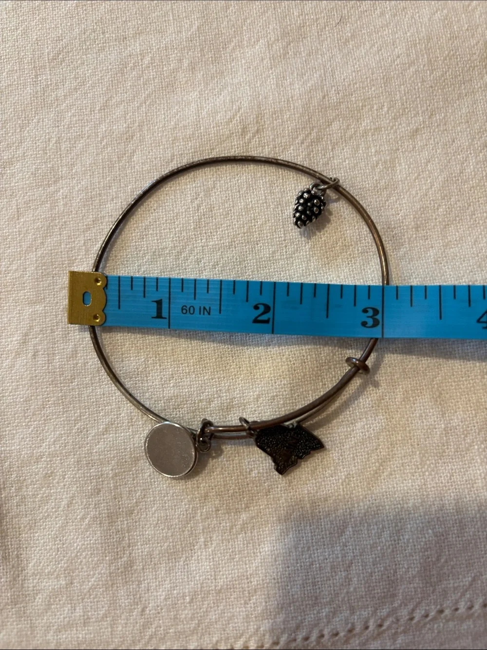 Alex and Ani Maine Charm Bracelet